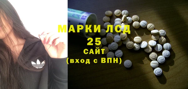 spice Осинники