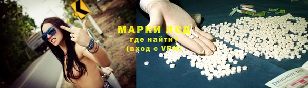 spice Осинники