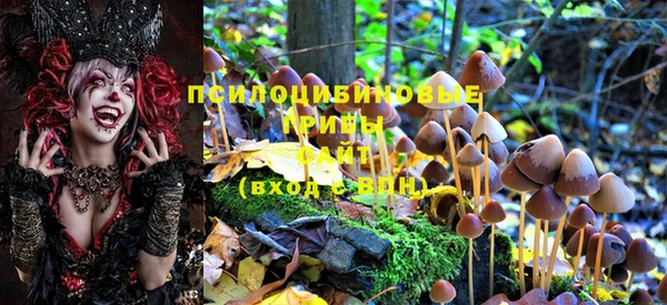марки lsd Абинск